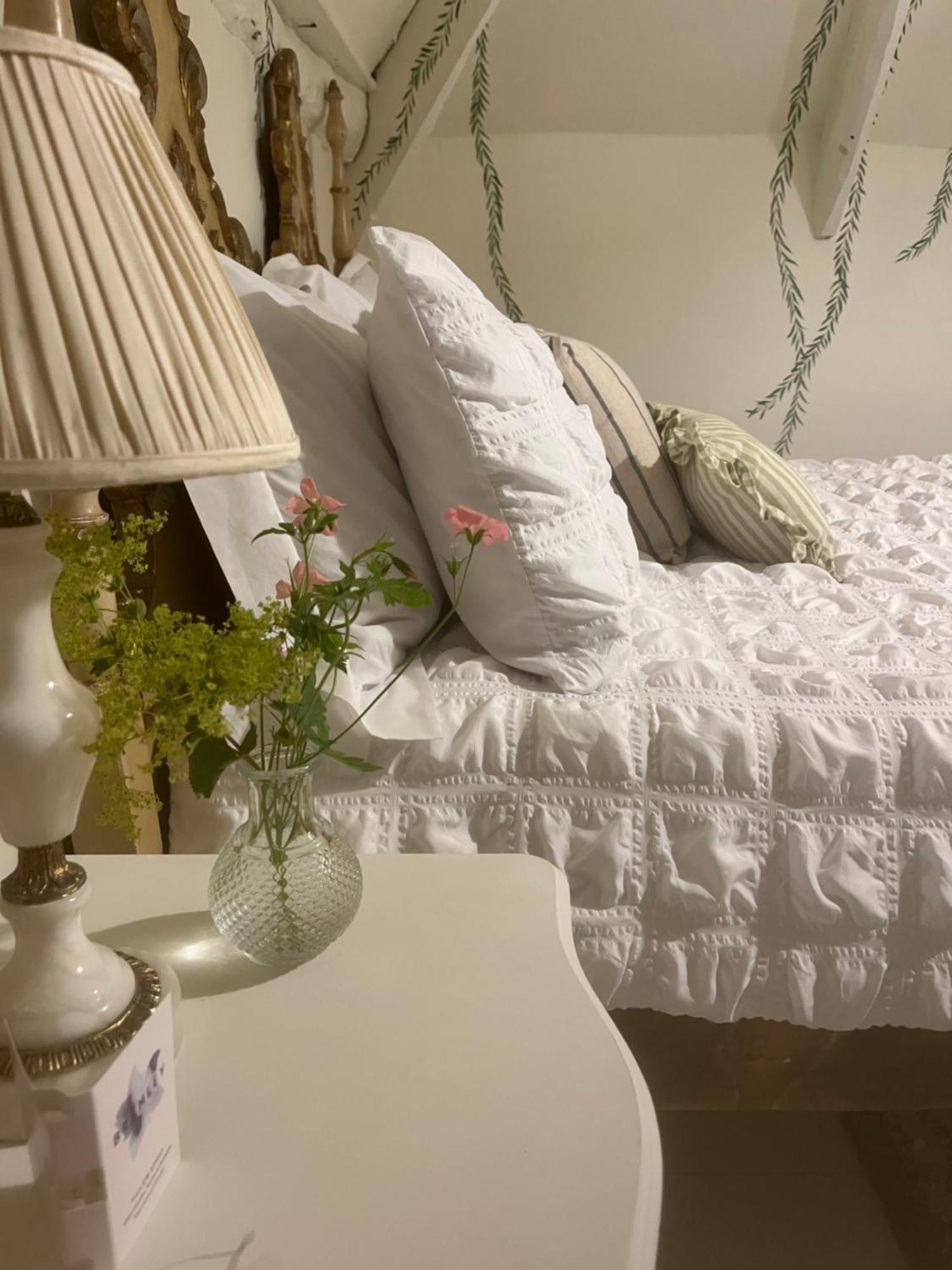 Bowlish House Bed and Breakfast Shepton Mallet Eksteriør billede